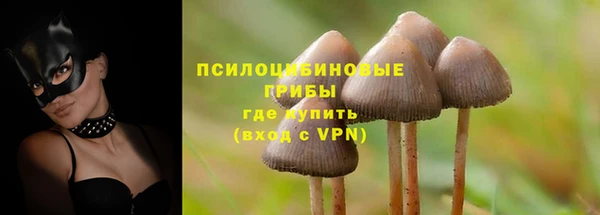 а пвп мука Алзамай