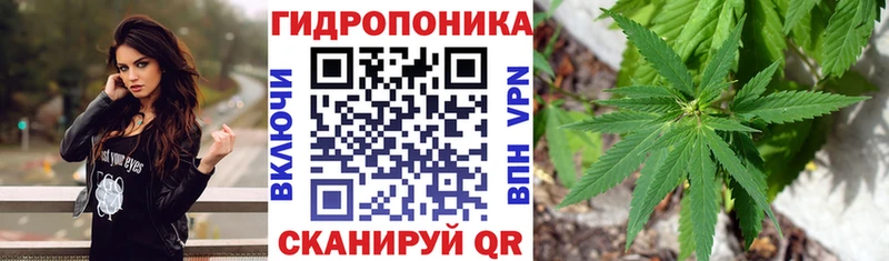 купить наркоту  Ачинск  Каннабис VHQ 